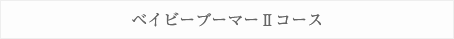 アクリルベイビーブーマーⅡ理論付きコース